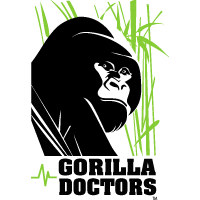 Gorilla Doctors